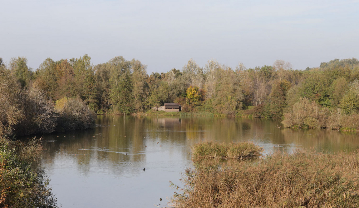 Uno dei laghi dell'Oasi con un capanno sullo sfondo, in versione autunnale