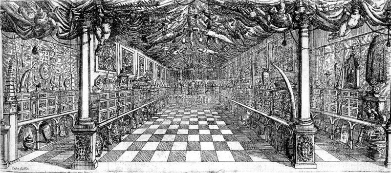 Incisione da uno dei cataloghi del Museo Settala, a Milano. Una lunga stanza separata in tre corsie con oggetti naturali e manufatti e il soffitto con rettili, pesci, mammiferi e uccelli.