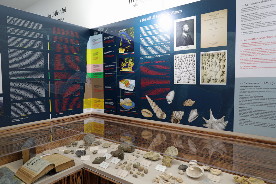 I pannelli che descrivono le ricerche di Sacco e la collezione di fossili