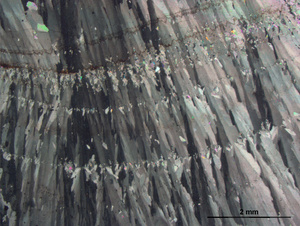 Fotografia al microscopio ottico di una sezione dell'alabastro