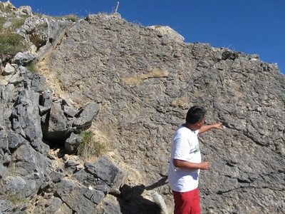 Il geologo Enrico Collo che indica una parete con rocce ricche di fossili