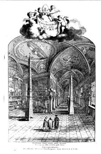 Incisione del 1679 dove si vede una grandissimo ambiente interno con collezioni alle pareti e afrreschi sugli alti soffitti, con decorazioni e immagini del cielo stellato