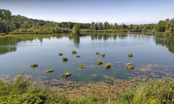 Uno dei laghi dell'Oasi con le piattaforme galleggianti