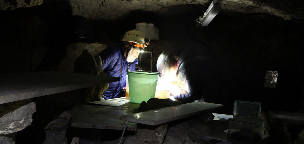 Due biospleleologi al lavoro nel buio del laboratorio interno della grotta di Bossea